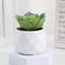 Mini Artificial Succulent Bonsai Plant Realistic Faux Cactus Decor For Desk And Home 11