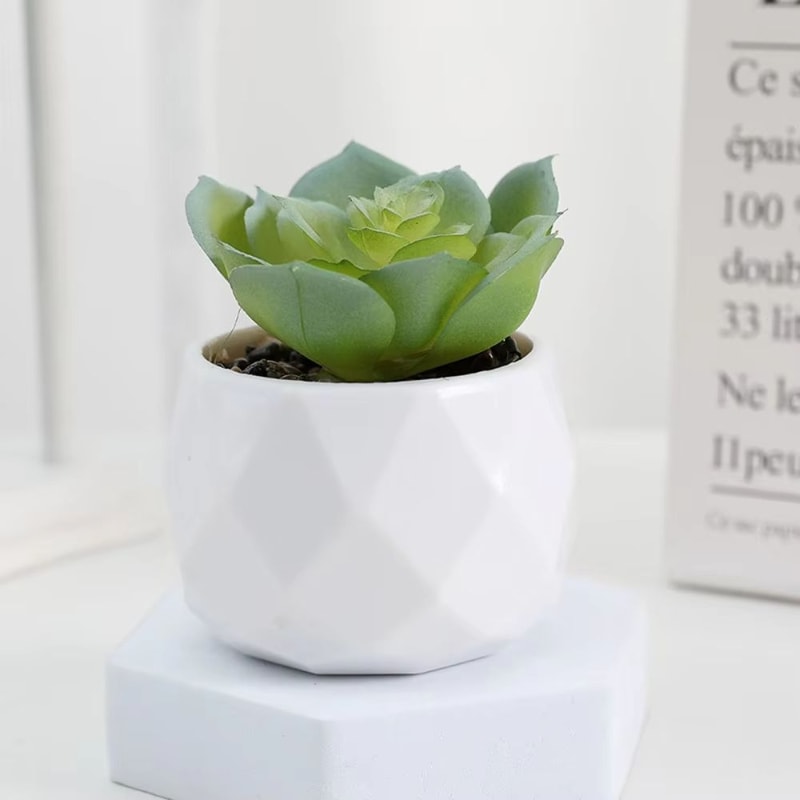 Mini Artificial Succulent Bonsai Plant Realistic Faux Cactus Decor For Desk And Home 11