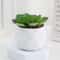 Mini Artificial Succulent Bonsai Plant Realistic Faux Cactus Decor For Desk And Home 12