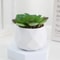Mini Artificial Succulent Bonsai Plant Realistic Faux Cactus Decor For Desk And Home 12