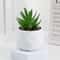 Mini Artificial Succulent Bonsai Plant Realistic Faux Cactus Decor For Desk And Home 13