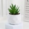 Mini Artificial Succulent Bonsai Plant Realistic Faux Cactus Decor For Desk And Home 13