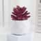 Mini Artificial Succulent Bonsai Plant Realistic Faux Cactus Decor For Desk And Home 15