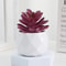 Mini Artificial Succulent Bonsai Plant Realistic Faux Cactus Decor For Desk And Home 15