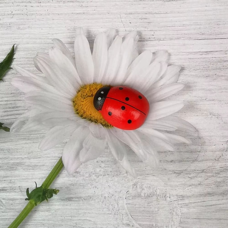 Mini Wooden Ladybug Fairy Garden Decor DIY Craft Accessory For Plants And Terrariums 2