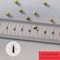 DIY SelfAdhesive Mosquito Net Window Screen Custom Fit Insect Proof Gauze 2