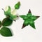 Realistic Artificial Rose Leaves 50100pcs DIY Bouquet Decoration Accessories 1