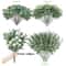 Silver Dollar Artificial Eucalyptus Stems Bundle For Wedding Decor And Home Styling 7