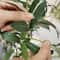 Minimalist Artificial Olive Tree Branch 4771in Faux Olive Leaves Modern Home Decor 5