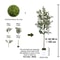 Minimalist Artificial Olive Tree Branch 4771in Faux Olive Leaves Modern Home Decor 11