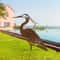 Rustic Metal Crane Garden Statue Weathered Heron Outdoor Yard Sculpture 0