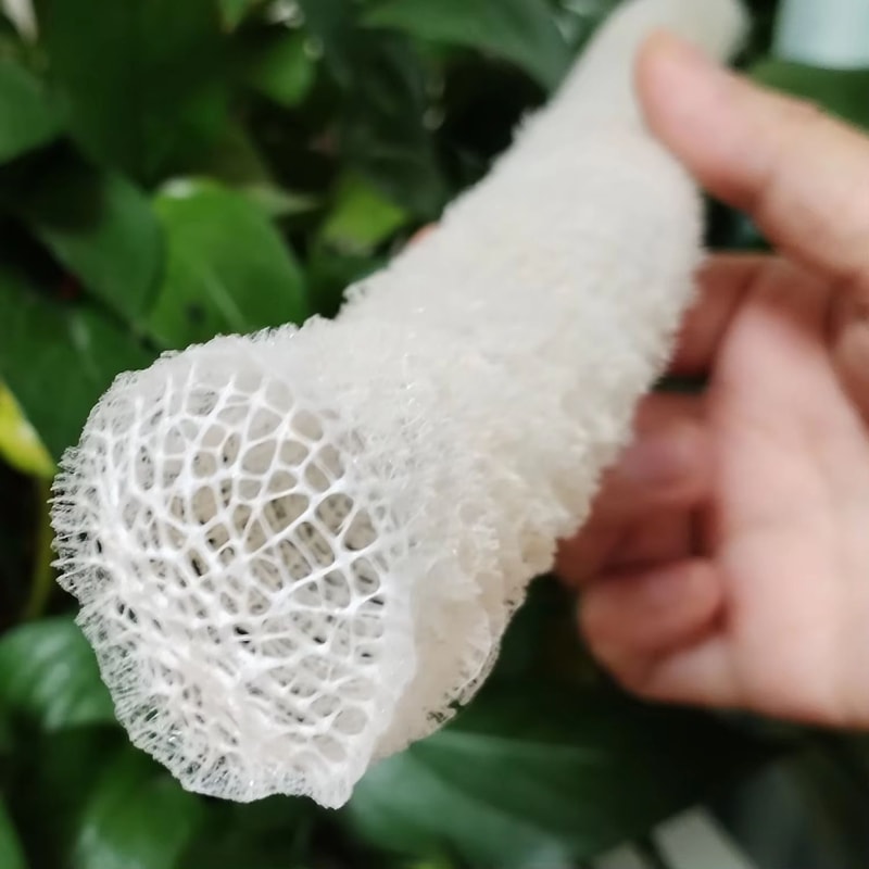 Venus Flower Basket Sea Sponge Shell Ocean Decor Natural Porifera Aquarium Ornament 2