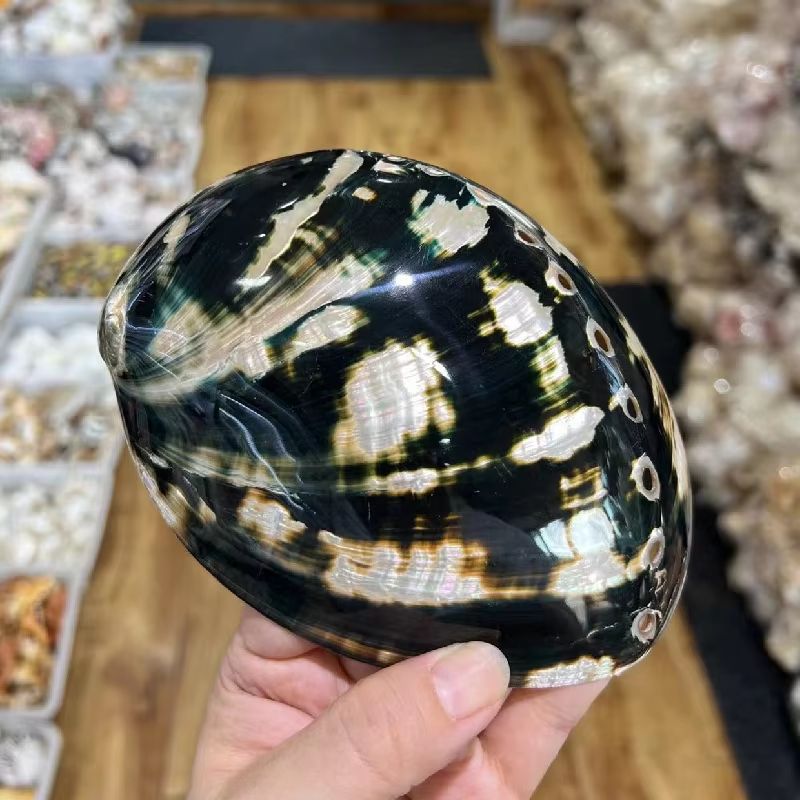 Paua Abalone Shell Smudge Kit With Tripod Stand Natural Sage Cleansing Bowl 433512in 11