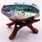 Paua Abalone Shell Smudge Kit With Tripod Stand Natural Sage Cleansing Bowl 433512in 4