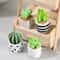 Mini Resin Dollhouse Plant Pot 112 Scale Realistic Potted Flower Decor 10