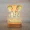 Personalized Animal Name Night Light Acrylic LED Lamp For Kids Bedroom 22