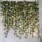 LED Artificial Ivy Vine Garland With Lights Hanging Greenery Decor 0