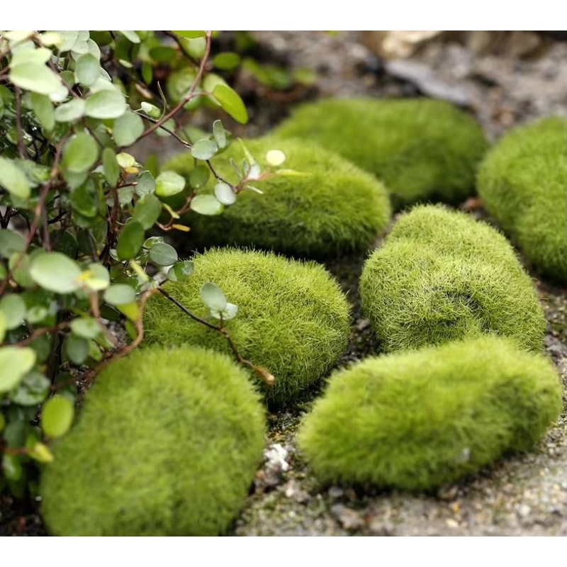 Whimsical Mini Fairy Garden Accessories Set For DIY Dollhouse And Landscape Decor 12