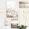 Nordic White Shell Beach Dandelion Canvas Wall Art Minimalist Living Room Decor 2
