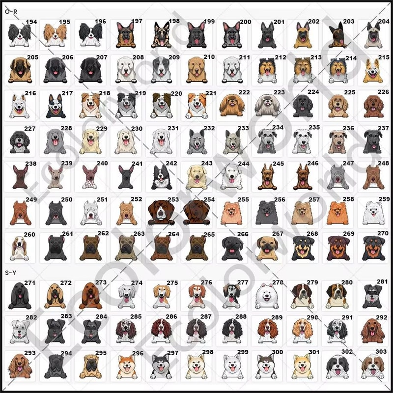 Personalized Pet Cartoon Doormat Custom Dog Cat Name Welcome Mat 3