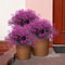 UV Resistant Artificial Outdoor Flowers Set For Garden And Window Box Decor 2