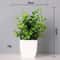 Vivid Artificial Bonsai Tree Desk Centerpiece NonFading Faux Plant Decor 3