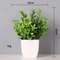 Vivid Artificial Bonsai Tree Desk Centerpiece NonFading Faux Plant Decor 6