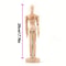 Poseable Wooden Artist Mannequin Movable Figure For Drawing And Decor 8