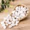 White Polished Pebbles Decorative Stones Natural River Rocks For Garden Aquarium Home Decor 2