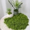 DIY Artificial Moss Decor Realistic Faux Green Moss For Crafts Terrariums And Home Styling 12