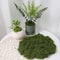 DIY Artificial Moss Decor Realistic Faux Green Moss For Crafts Terrariums And Home Styling 8