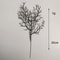 5pcs Black Halloween Dead Branches Artificial Antler Twigs For Spooky Home Decor 5