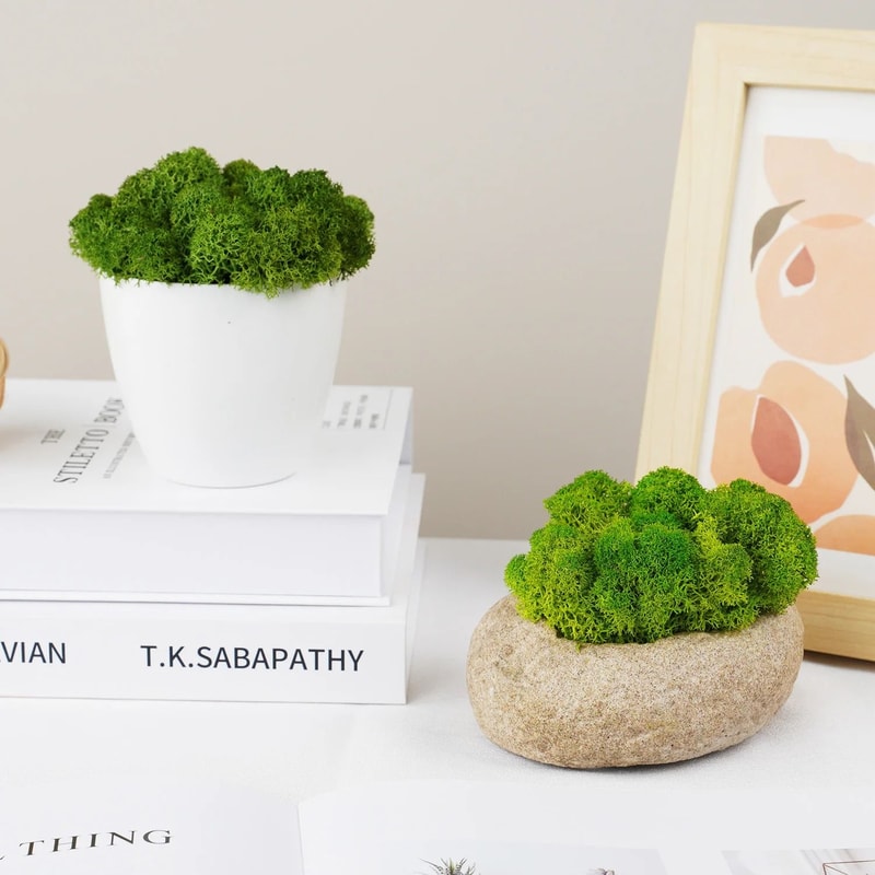 Natural Green Moss Decor Artificial Moss Decor Simulation Crystal Moss For Mini Garden Home Styli 1