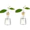 4PCS Avocado Seed Starter Vase Glass Hydroponic Growing Kit For Home Decor 10