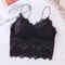 LaceMuse Sleeveless Bustier Crop Top With Zipper Back 3
