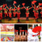 DragonFlow Tai Chi Kung Fu Folding Fan Stage Performance Dance Fan 1