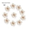 10PCS Flower Rhinestone Pearl Buttons Alloy Crystal DIY Wedding Craft Embellishments 8