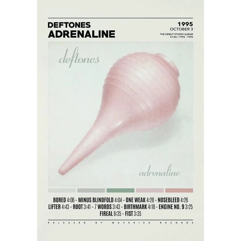 Deftones Album Cover Poster Canvas Around The Fur Saturday Night Wrist Wall Art 12