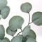 Artificial Eucalyptus Vine Garland Realistic Greenery Decor 5