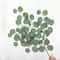 Artificial Eucalyptus Vine Garland Realistic Greenery Decor 6