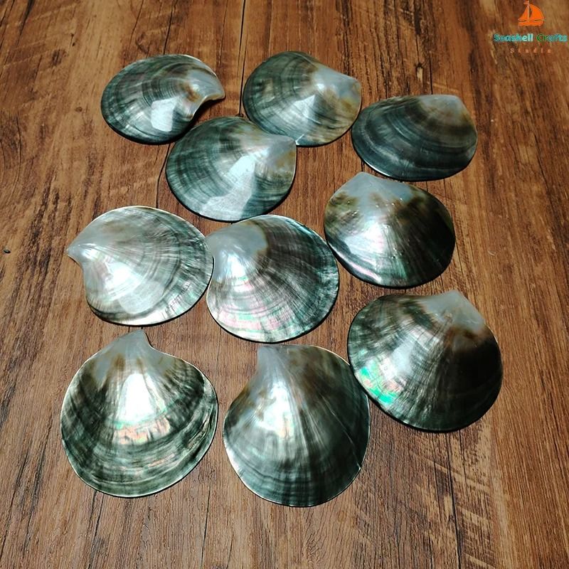 Black Mother Of Pearl Shell Beads Polished Natural Pinctada Craft Decor 3