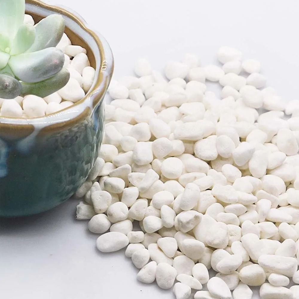 Natural Decorative Pebble Stones For Succulents Aquariums Home Decor 100g1764oz Options 1