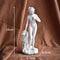 Classical Venus Goddess Resin Statue Aesthetic Mythology Desk Decor Accent 6