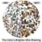 Natural Polished Gravel Pebbles For Aquarium Garden And Micro Landscape Decor 2