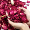 Natural Dried Rose Petals For Bath Spa Aromatherapy And Wedding Decor 3