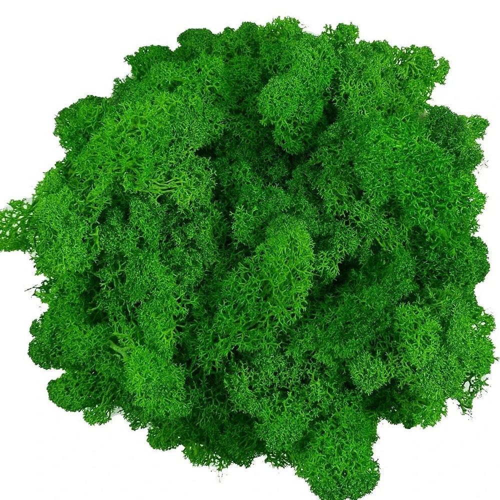 EverGreen Craft Moss Artificial Reindeer Moss For DIY Decor Floral Design 14