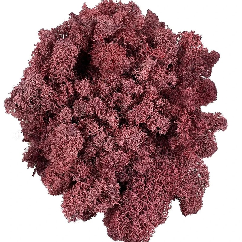 EverGreen Craft Moss Artificial Reindeer Moss For DIY Decor Floral Design 8