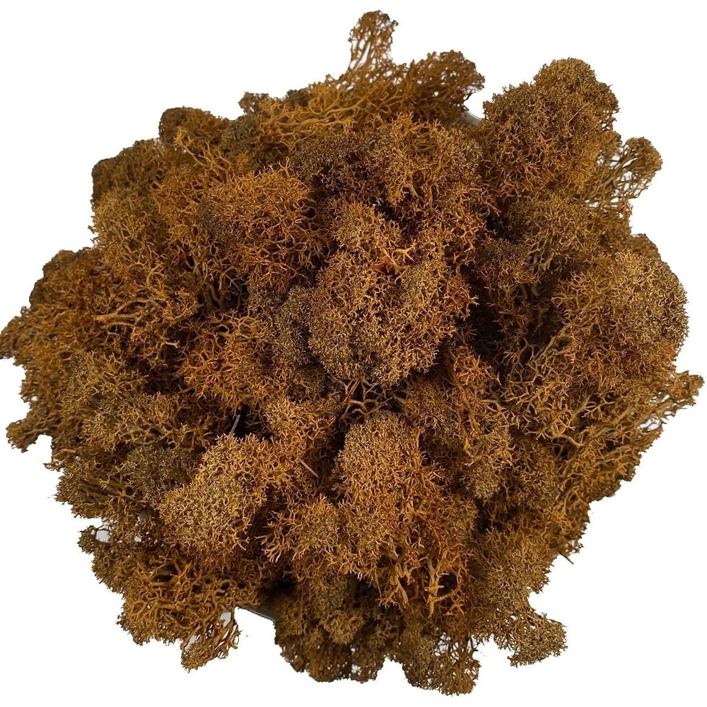 EverGreen Craft Moss Artificial Reindeer Moss For DIY Decor Floral Design 22