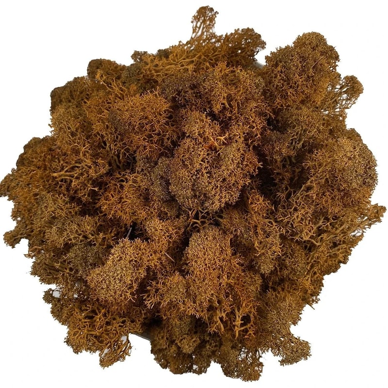 EverGreen Craft Moss Artificial Reindeer Moss For DIY Decor Floral Design 22