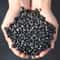 PureGuard Shungite Crystal Gravel 100g Natural Healing Stone Water Purifier 0